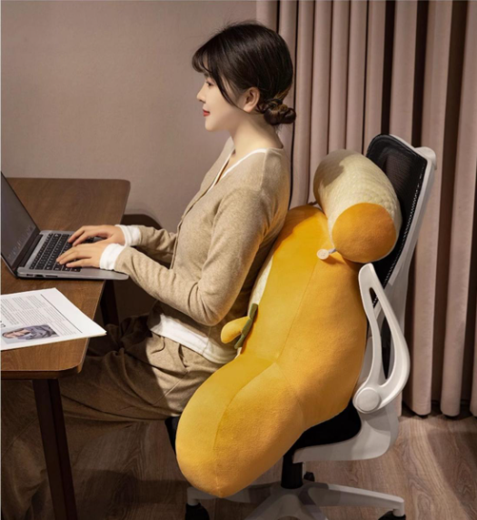 🐰Adorable Backrest Pillow